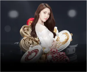 Quy trình hợp tác đại lý Kim99